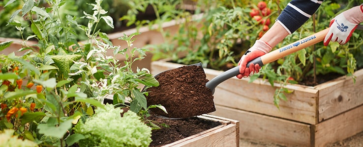 Gardening