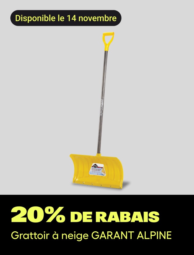 Offre du jour Grattoir à neige GARANT