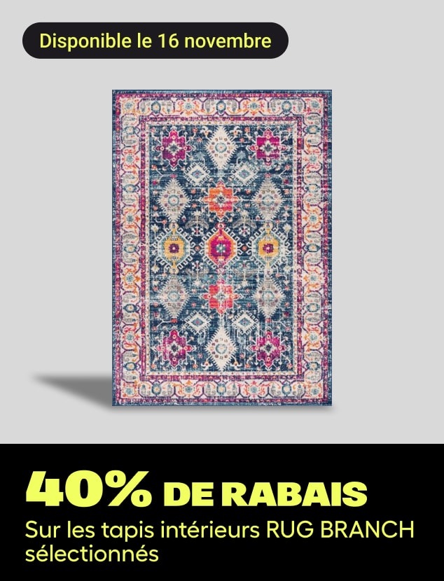 Offre du jour tapis intérieurs RUG BRANCH