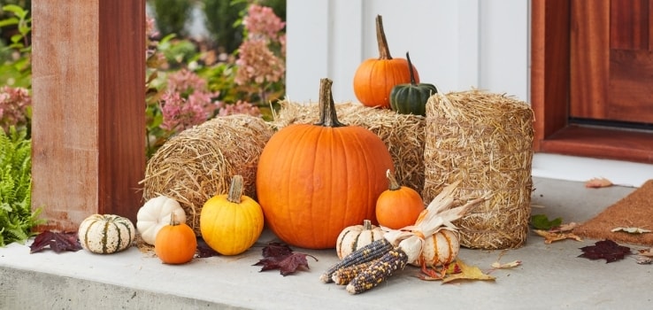 Fall and harvest decorations