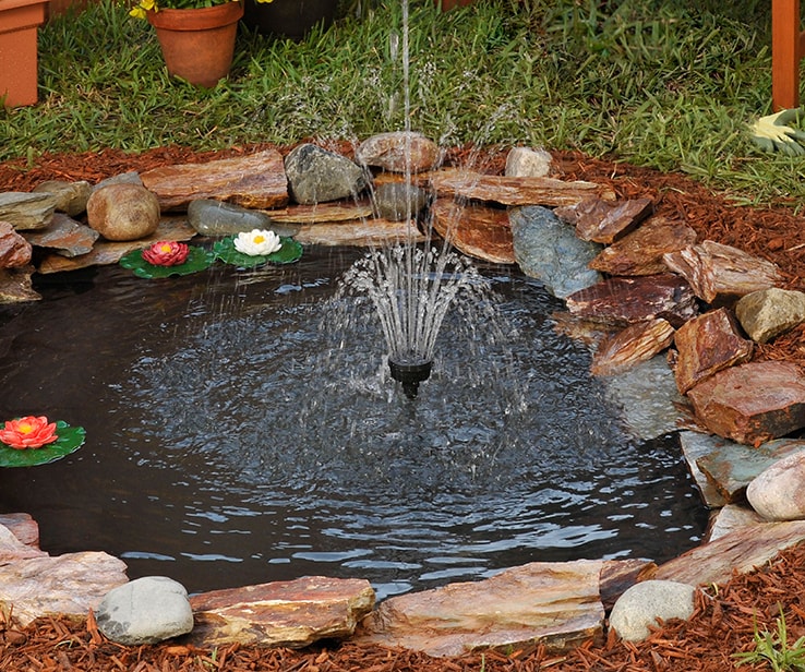 Jardin d’eau bien décoré