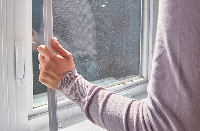 Person removing a screen