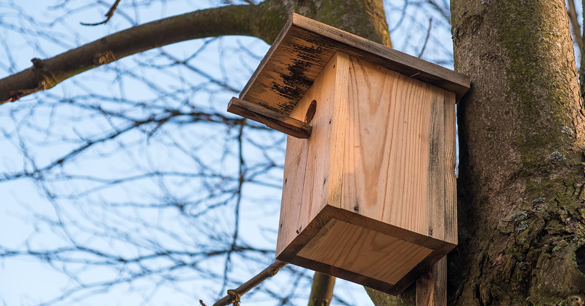 Mangeoire pour oiseaux en bois