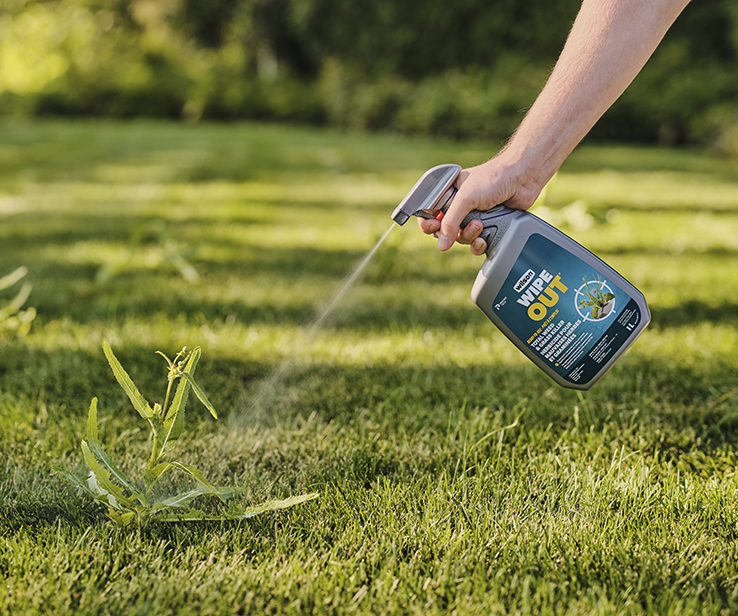 Personne appliquant de l’herbicide 