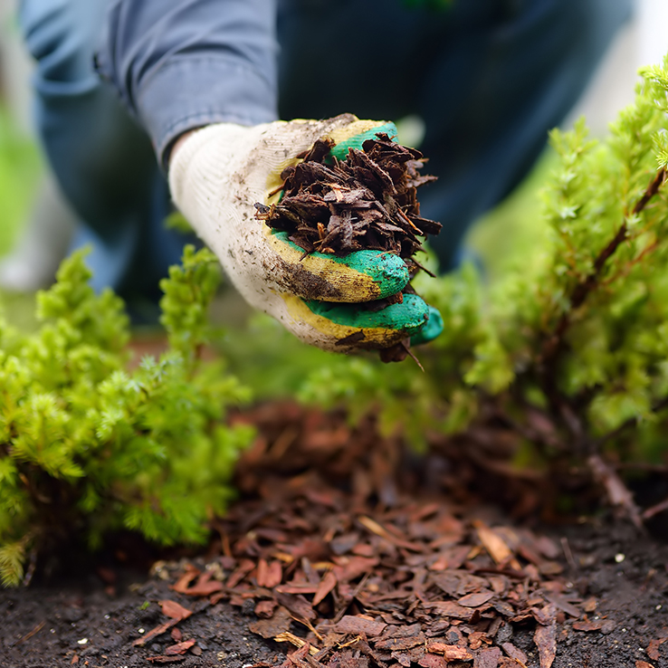 Person adding mulch to a flower bed