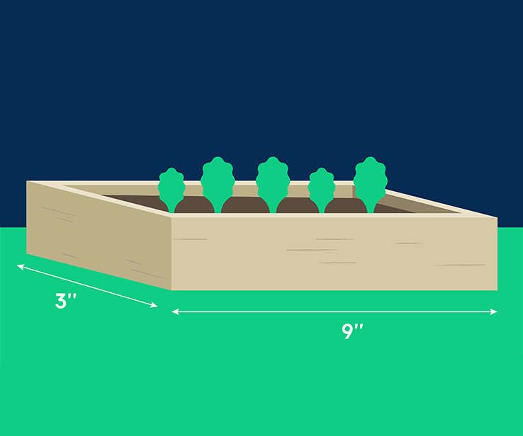 Schéma d’un tunnel de croissance