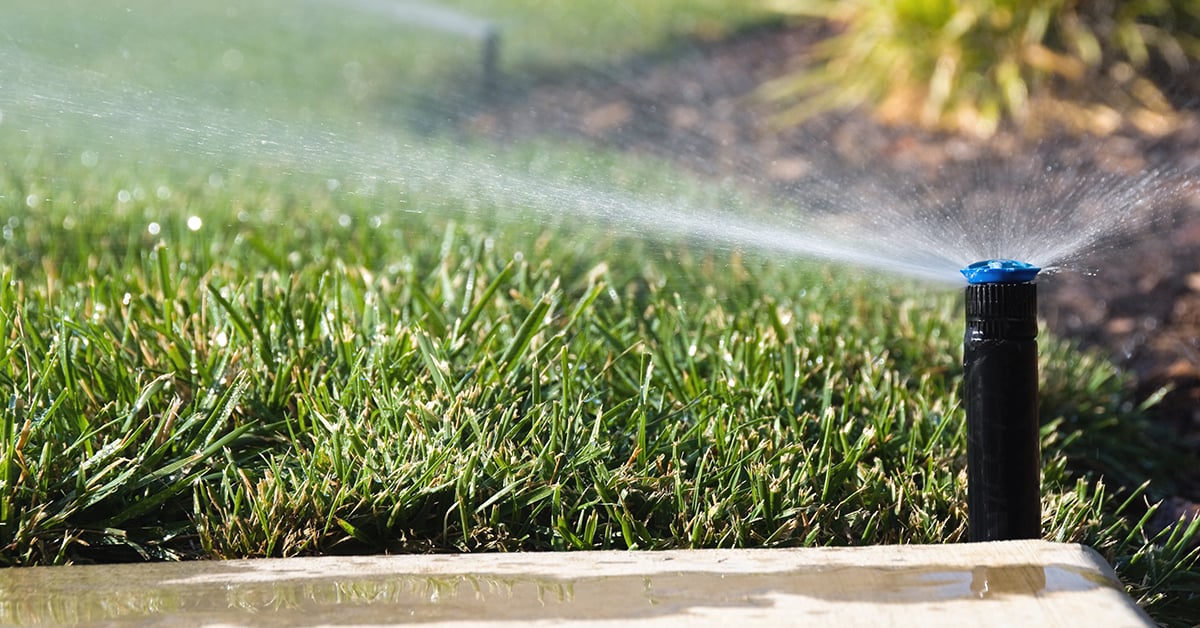 Installer un système d’irrigation