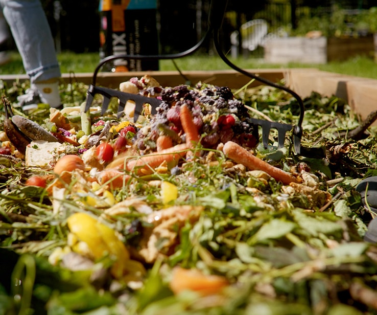 Personne étalant des résidus de cuisine dans le jardin