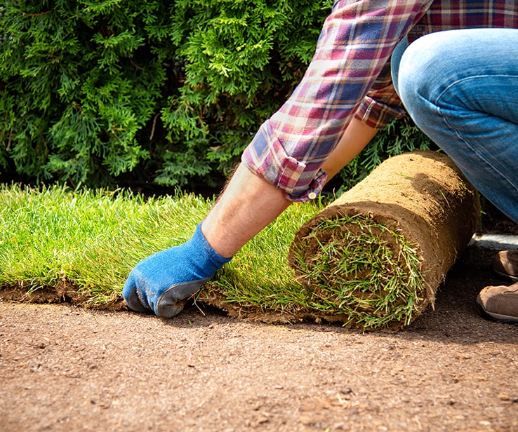 Man placing a grass roll