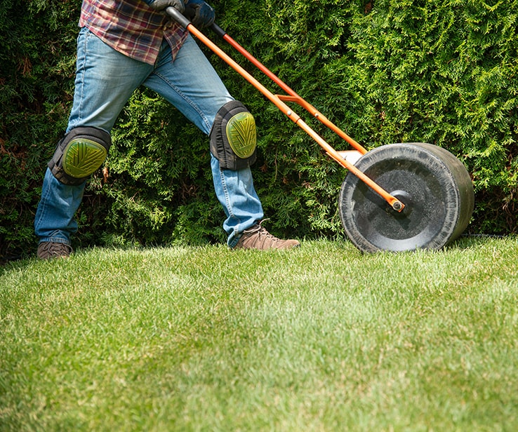 Homme utilisant un rouleau à gazon