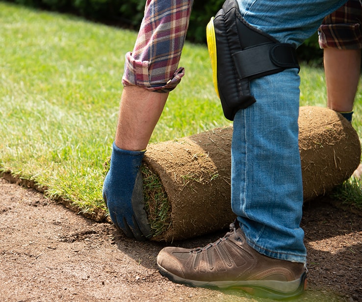 Man unrolling turf