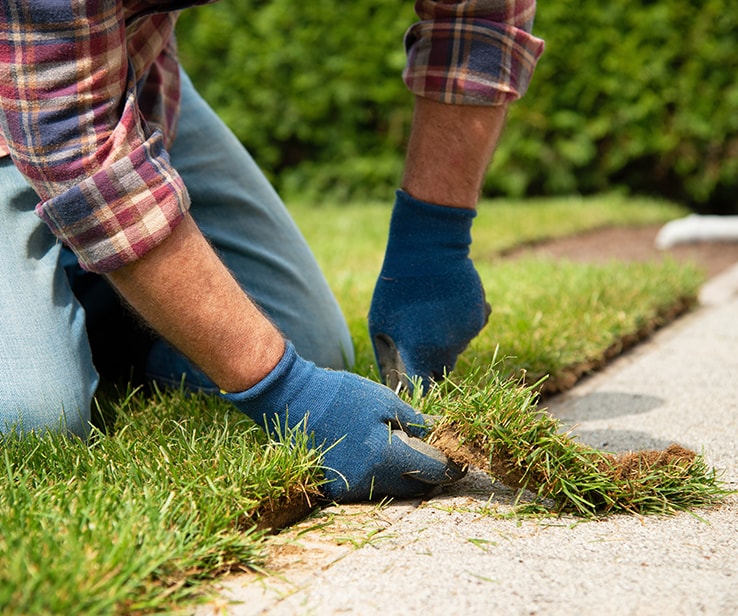 Man trimming the edge of a turf roll