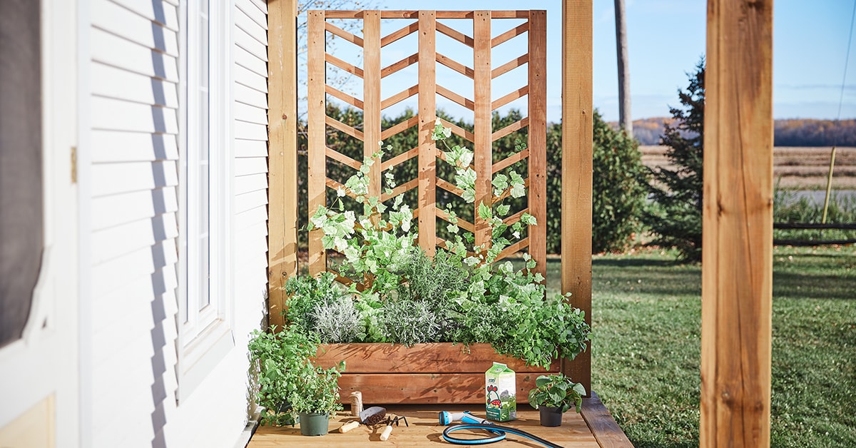 Jardinière en bois avec treillis sur un porche