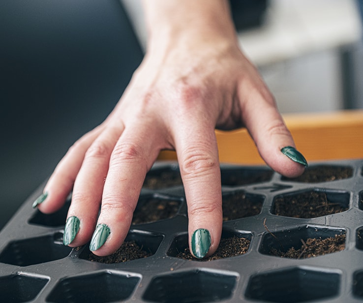 Woman using her fingers to compact soil