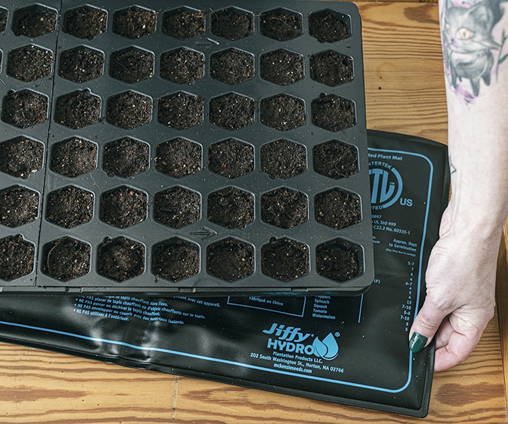 Woman placing a heating pad underneath a seedling tray