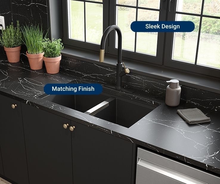 Matte black and gold kitchen faucet