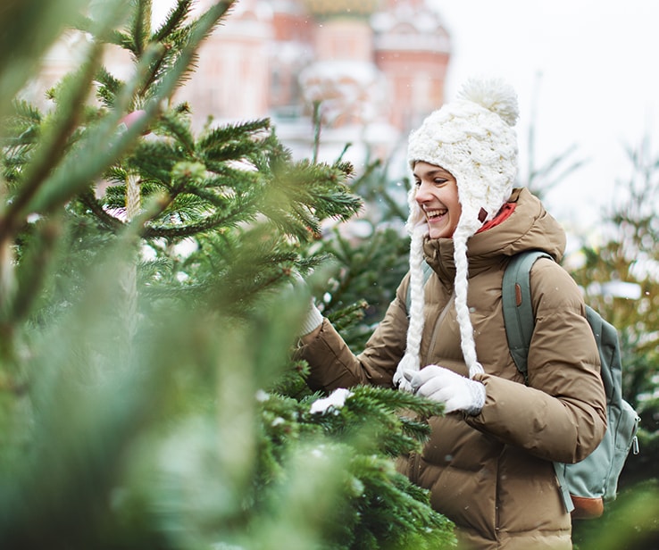 Jeune femme regardant des sapins naturels