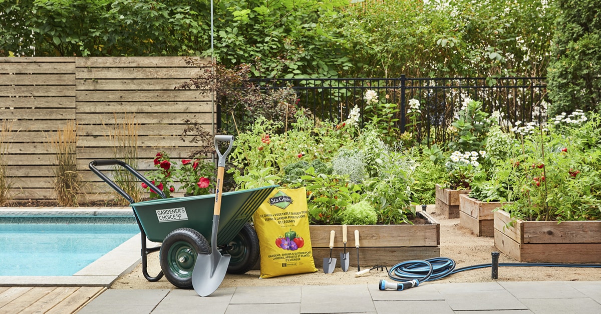 Jardinage 101 : tout pour réussir votre jardin