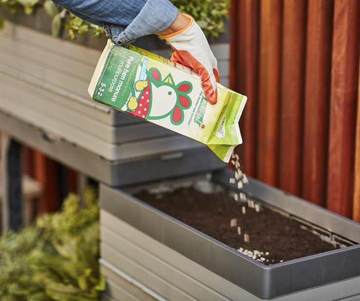 Person adding chicken manure to a raised bed