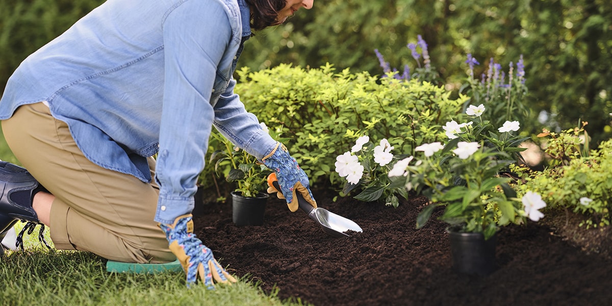 Person tending a garden