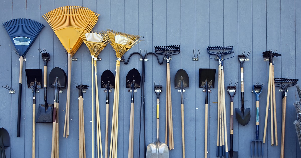 Buying Guide : Gardening tools