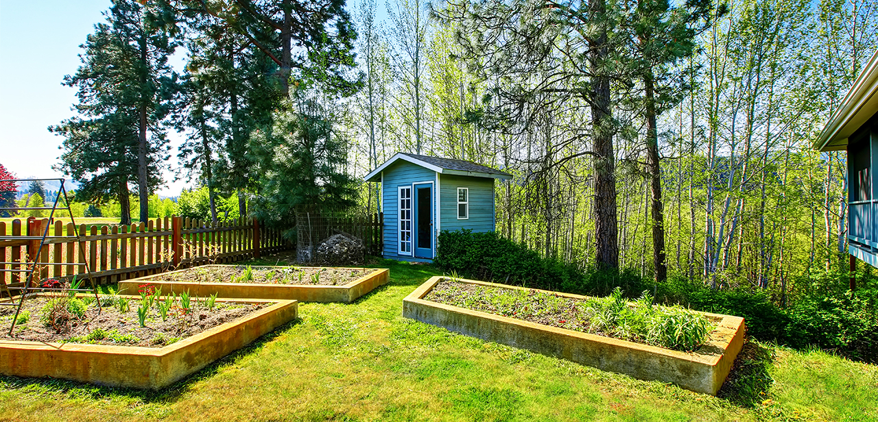 Backyard shed behind a vegetable garden