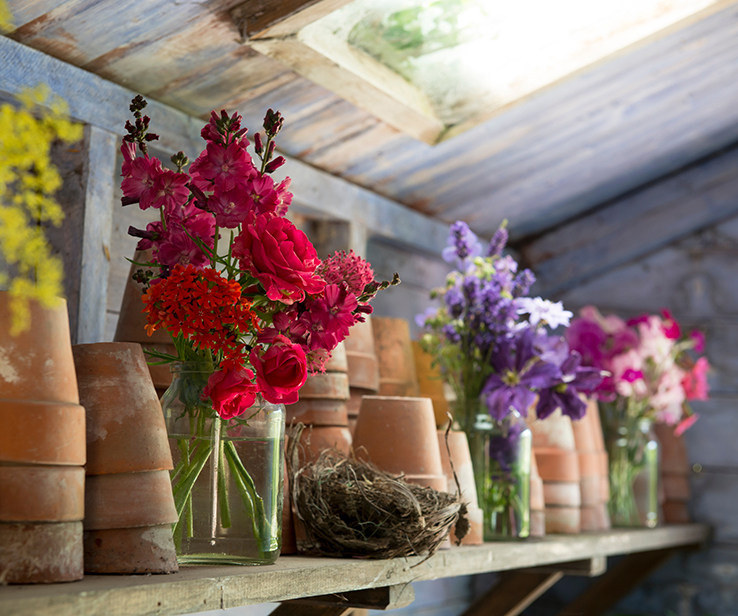 Espace de jardinage dans un cabanon