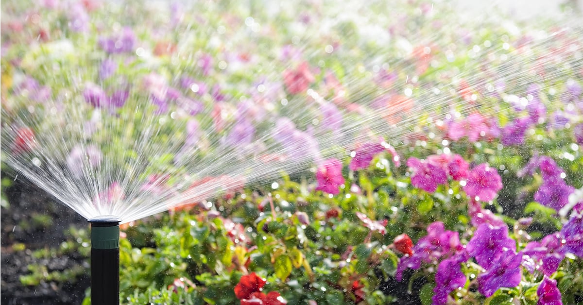 Planifier l’installation d’un système d’irrigation