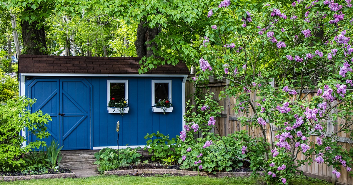 Solutions de rangement pour la remise