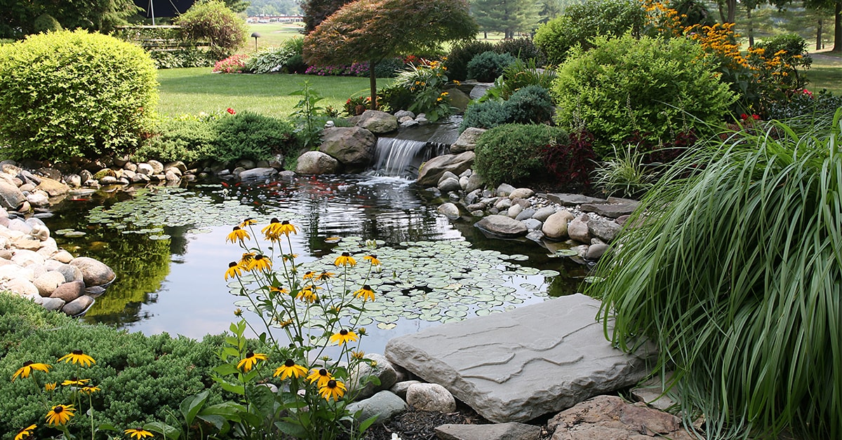 Aménager un jardin aquatique