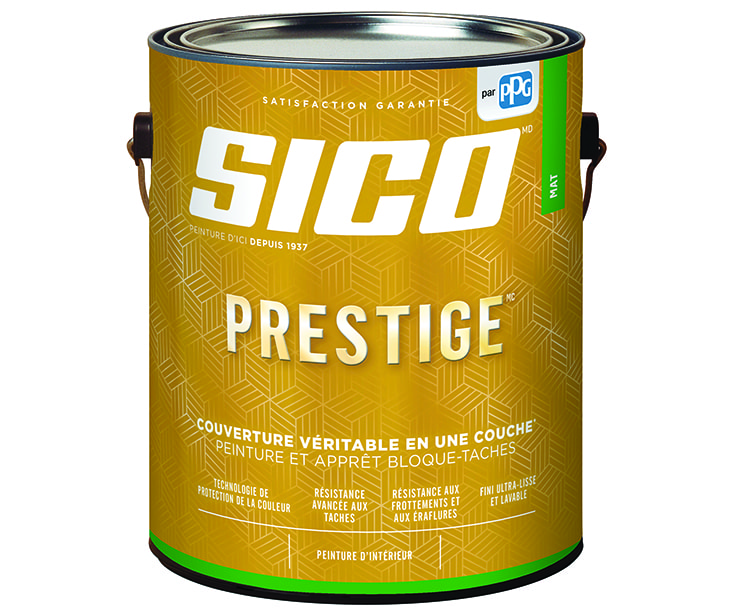 Boîte de peinture SICO