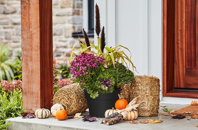 Arrangement floral d’automne sur un porche