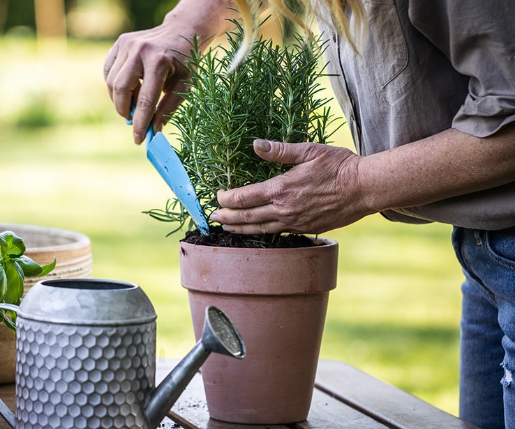 Femme plantant une plante dans un pot