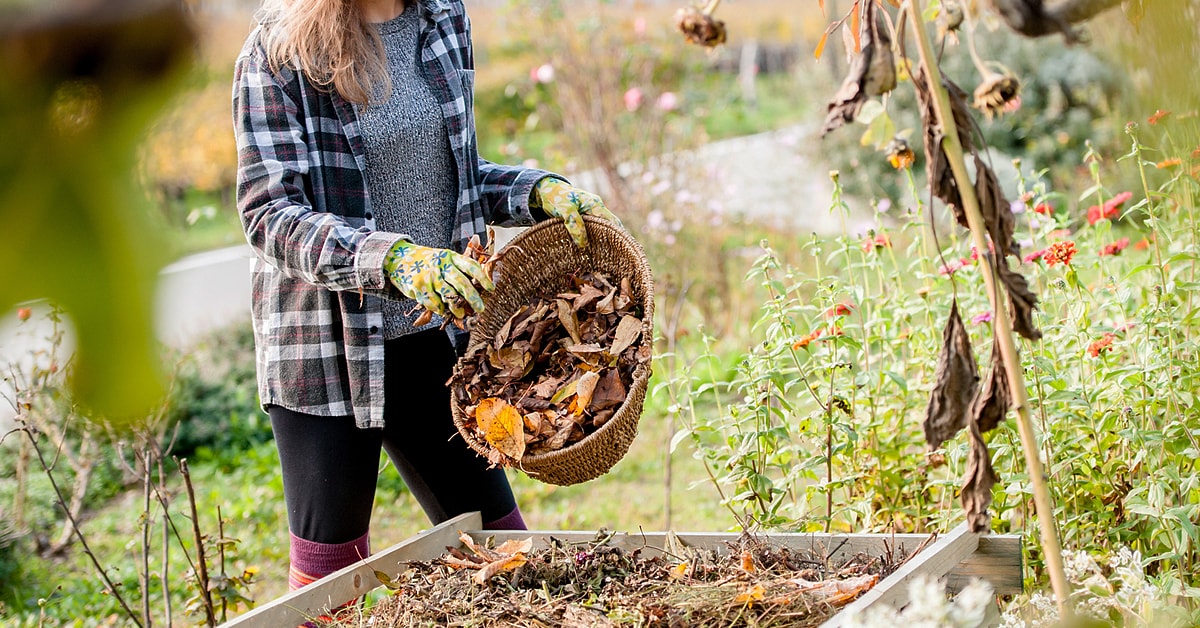 Comment entretenir son jardin à l’automne en 8 étapes