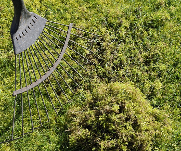 Person raking a lawn