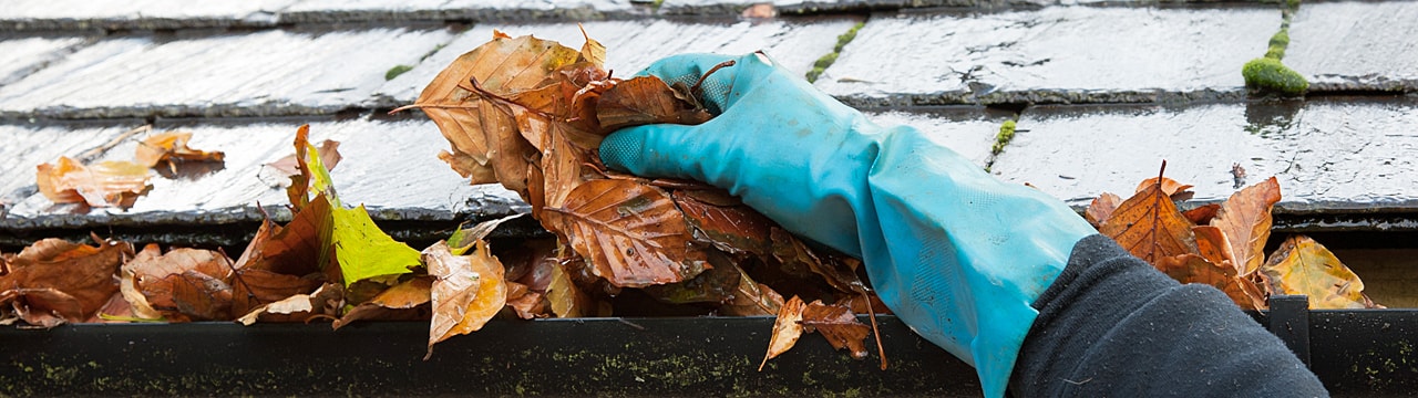 Personne retirant des feuilles mortes d’une gouttière