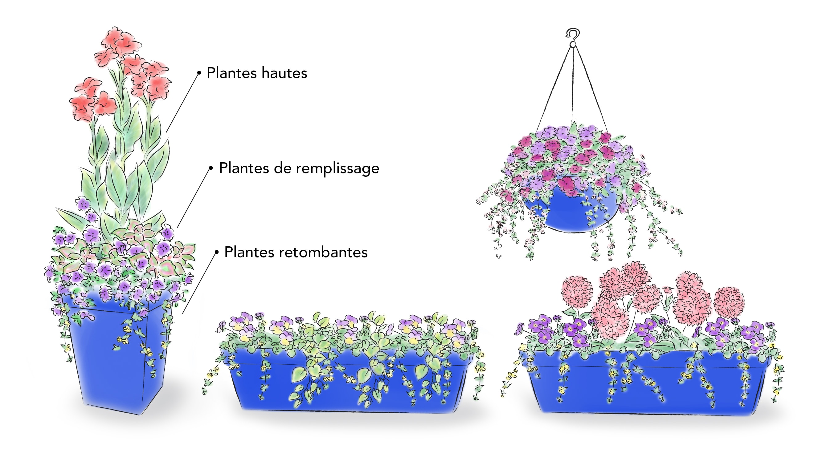 Schéma de plusieurs arrangements floraux en pot