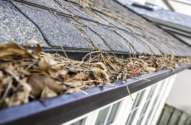 Nettoyage de l’extérieur de la maison (gouttières)