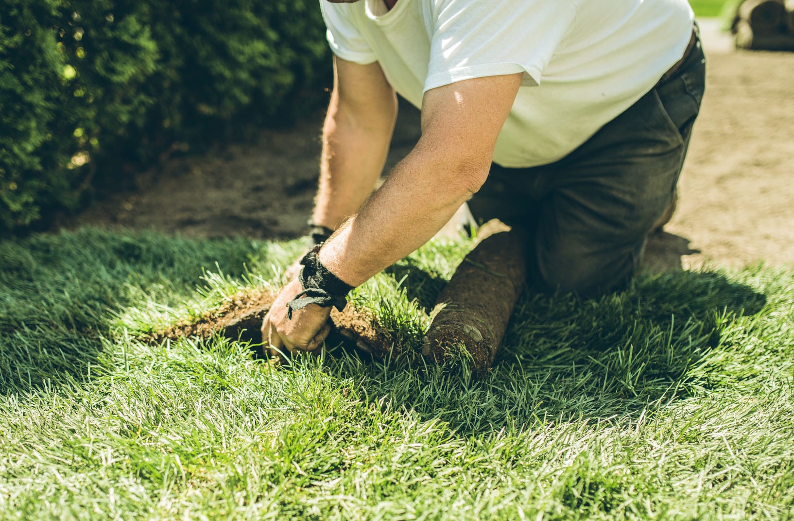 Person checking the soil underneath turf