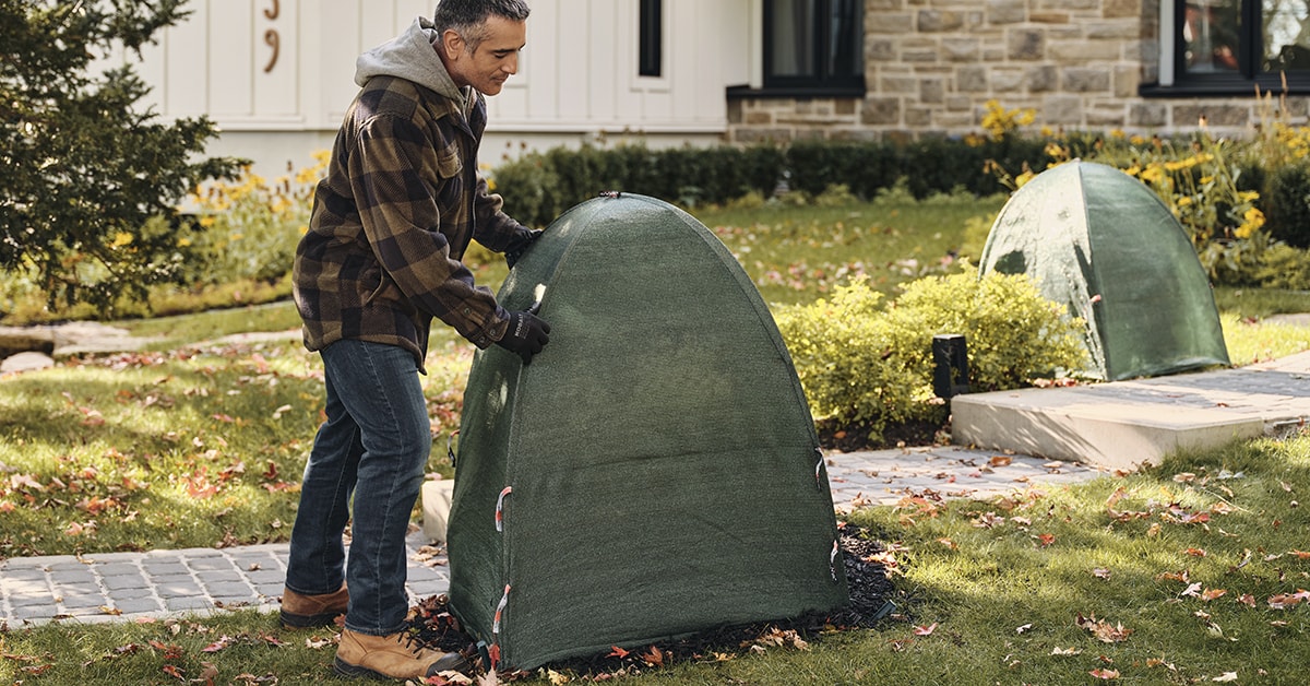 Winter Protection for Trees, Shrubs, and Plants