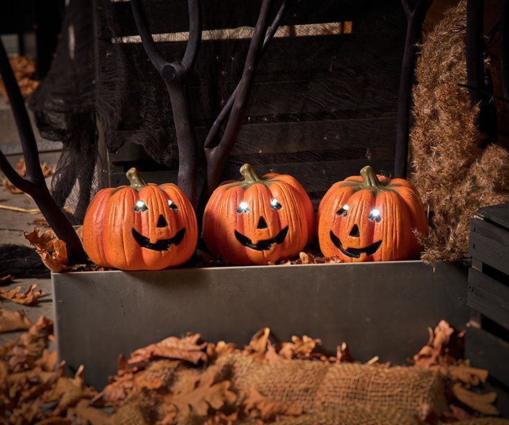 Ensemble de trois citrouilles décoratives sur un porche