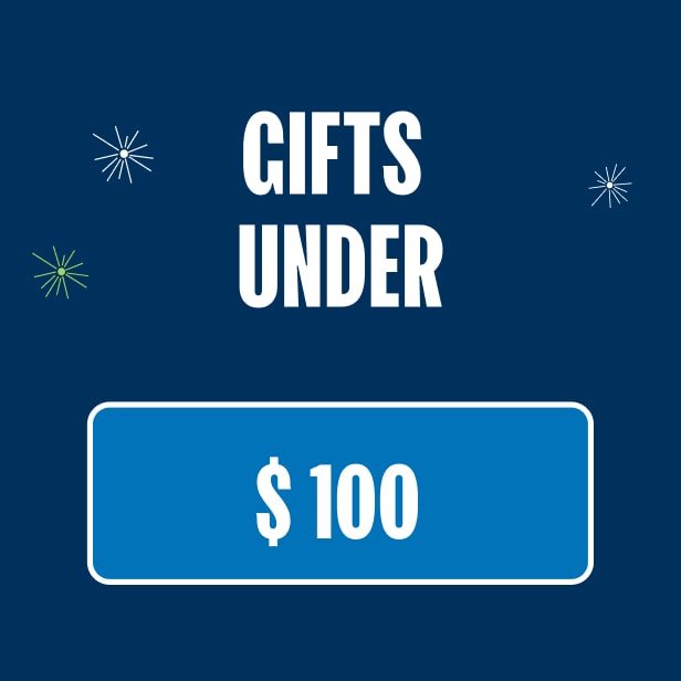 Gifts under $100