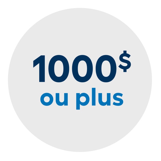 Catégorie 1000$ ou plus