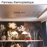 Pannea thermoplastique revêtement mur